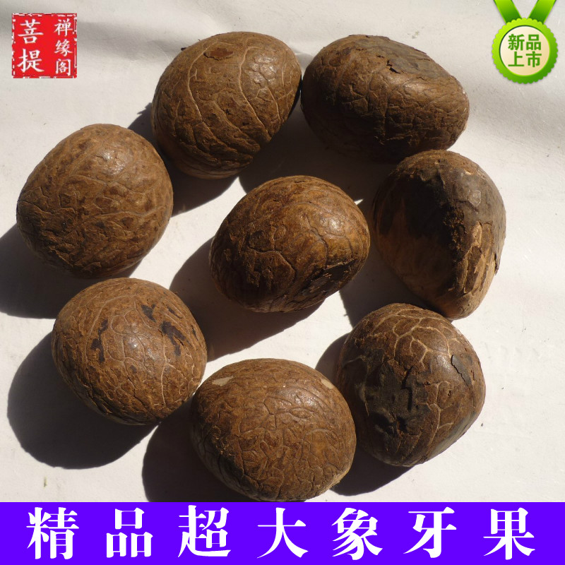 象牙果原果原籽批发菩提子大中小果雕刻原料手揉球手把件单颗按斤|msdalam kategori Aksesori/Barang Kemas Fesyen, tasbih/gelang kayu, tasbih/tasbih - dari Buy2taobao.com untuk memberikan perkhidmatan ejen Taobao profesional membeli