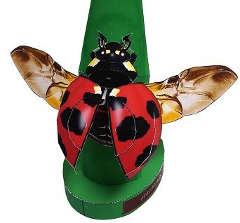 3D Handmade paper model diy gift simulation insect specimen Coccinellain the Play mode/Anime/Periphery/cos/Board games , Molded/Paper Models , Other types of paper mold category - from Buy2taobao.com to provide professional Taobao agent buy service