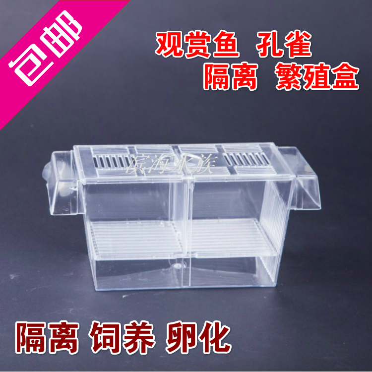 Aquarium fish tank Peacock Red Arrows Incubation Box Isolation Box Betta Isolation Network Multiplicationin the Pet/Pet food and supplies , Aqua World , Aquarium fish tanks and other equipment , Incubator category - from Buy2taobao.com to provide professional Taobao agent buy service