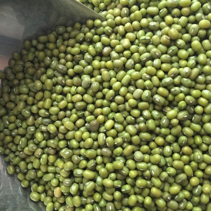 Farm Green beans Coarse Cereals Ming mung bean Hair green beans Yellow hair Bean sprouts own plant Green beans Buddingin the Agri rice/Dried foods/Condiment , Meter/Flour/Grains , Beans , Green beans category - from Buy2taobao.com to provide professional Taobao agent buy service