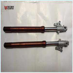 钱江摩托原厂配件 钱江龙QJ150-19A\/C 前减震