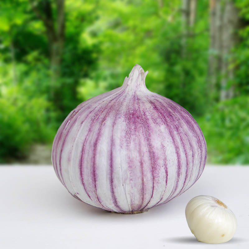 紫皮大蒜頭/獨頭蒜1斤 新鮮蔬菜調味品 農家自種沃鮮彙生鮮超市在類目 水產肉類/新鮮蔬果/熟食, 新鮮蔬菜/蔬菜製品, 大蒜中 - 來自Buy2taobao.com提供專業的淘寶代購服務