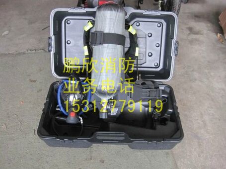 RHZKF-6.8/30 6.8升碳纤维 正压式消防空气呼吸器在类目 五金/工具, 施工保护, 呼吸防护, 呼吸器中 - 来自Buy2taobao.com提供专业的淘宝代购服务
