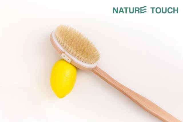 ~NATURE TOUCH~长柄荷木塑料底猪鬃浴刷(196)~三钻百分百好评在类目 家庭/个人清洁工具, 个人洗护清洁用具, 浴刷中 - 来自Buy2taobao.com提供专业的淘宝代购服务