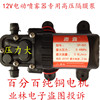 12V微型水泵 隔膜水泵 洗车高压泵 电动喷雾器泵  高压力