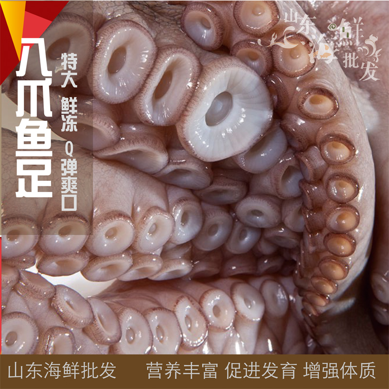 Octopus foot Large Octopus Frozen octopus Octopus foot Freezing octopusin the Aquatic meat/Fresh fruits and vegetables/Cooked , Seafood/Aquatic/Product , Octopus , Frozen octopus category - from Buy2taobao.com to provide professional Taobao agent buy service