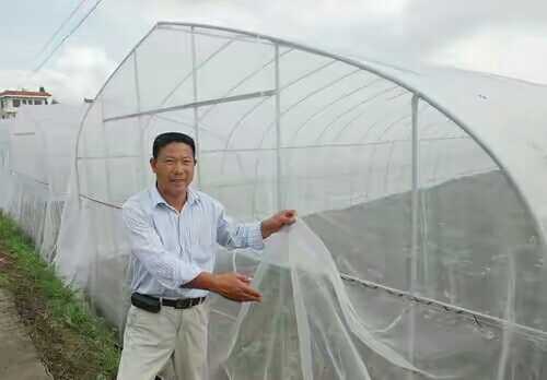 Insect Farm Vegetables Greenhouse material Dual Chinain the Agricultural Machinery/Farm tools/Plastic sheeting , Plastic sheeting/Tarpaulin/Network cover/Greenhouse , Insect Farm category - from Buy2taobao.com to provide professional Taobao agent buy service