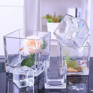 玻璃方缸 透明玻璃花盆 正方形 水培透明多功能 玻璃盆子水培容器