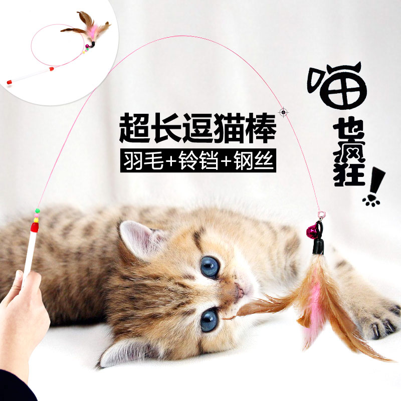 have more cash than can be accounted for steel wire Cat teaser stick Feather Toysin the Pet/Pet food and supplies , Cat/Dog Toys , Funny cat stick category - from Buy2taobao.com to provide professional Taobao agent buy service