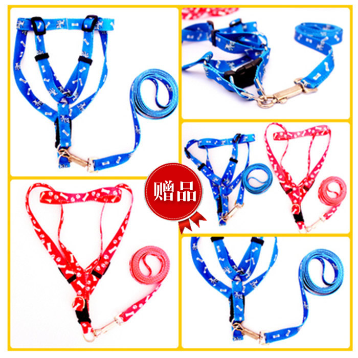 Thailand Mini Little pigs Pet Pig Traction ropein the Pet/Pet food and supplies , Class pet hamsters and other small , Pigs category - from Buy2taobao.com to provide professional Taobao agent buy service