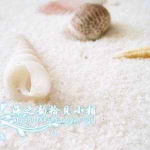 特【满66包邮】天然石英砂 白沙子 500g 20~40目 地台 0.5在类目 基础建材, 沙/石, 细沙中 - 来自Buy2taobao.com提供专业的淘宝代购服务