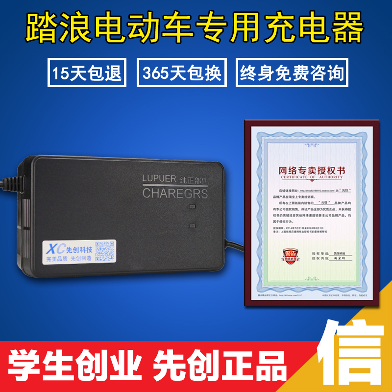 踏浪专用 电动车电瓶车充电器48v12ah 48v20ah通用原装包邮