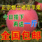上下架计划:全国包邮 正宗山东烟台苹果水果批发 栖霞苹果红富士5斤80#新鲜
