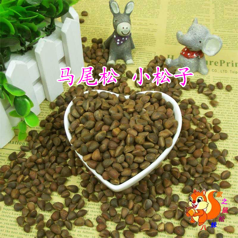 松塔松子松鼠食物松鼠粮食魔王金花雪地花栗鼠坚果100克松果在类目 宠物/宠物食品及用品, 仓鼠类及其它小宠, 饲料/零食中 - 来自Buy2taobao.com提供专业的淘宝代购服务