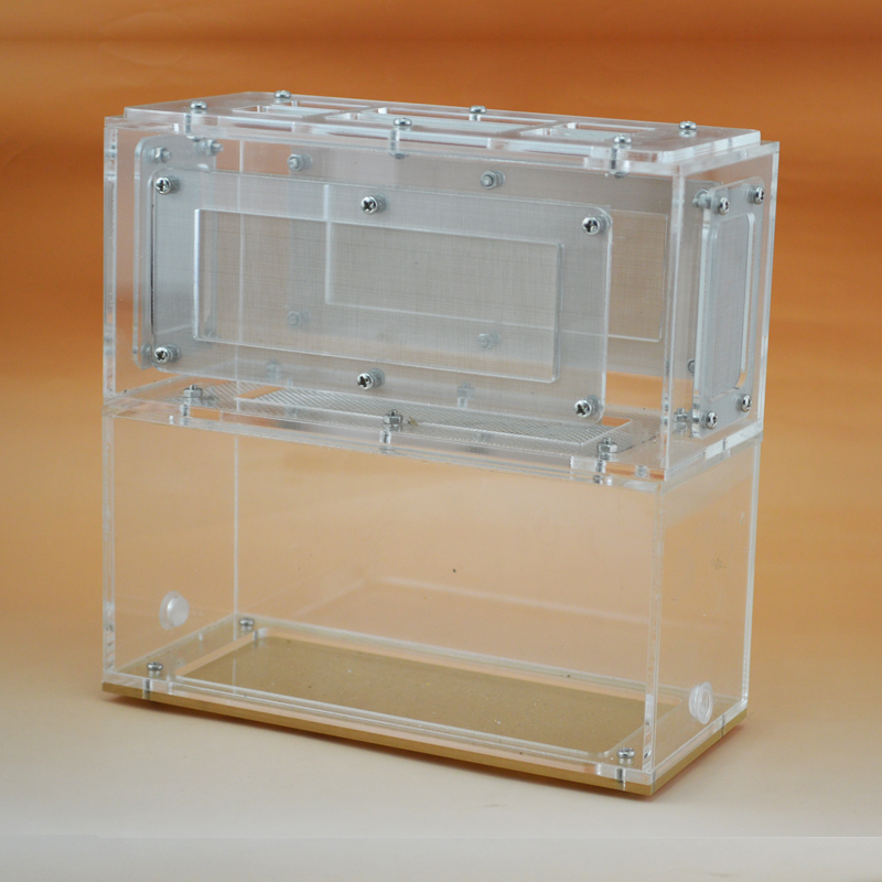 Pet Supplies Jiulong worm Feeding Box Kowloon Adult Larva separate Raise II 1 setin the Pet/Pet food and supplies , Reptile/Insects and supplies Ming , Reptile/Insect appliances Ming category - from Buy2taobao.com to provide professional Taobao agent buy service