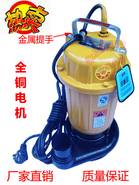 特價家用鑄鐵汙水泵銅芯抽水泵排汙泵泥漿泵化糞池潛水泵單相2寸在類目 五金/工具, 機電五金, 泵, 水泵中 - 來自Buy2taobao.com提供專業的淘寶代購服務