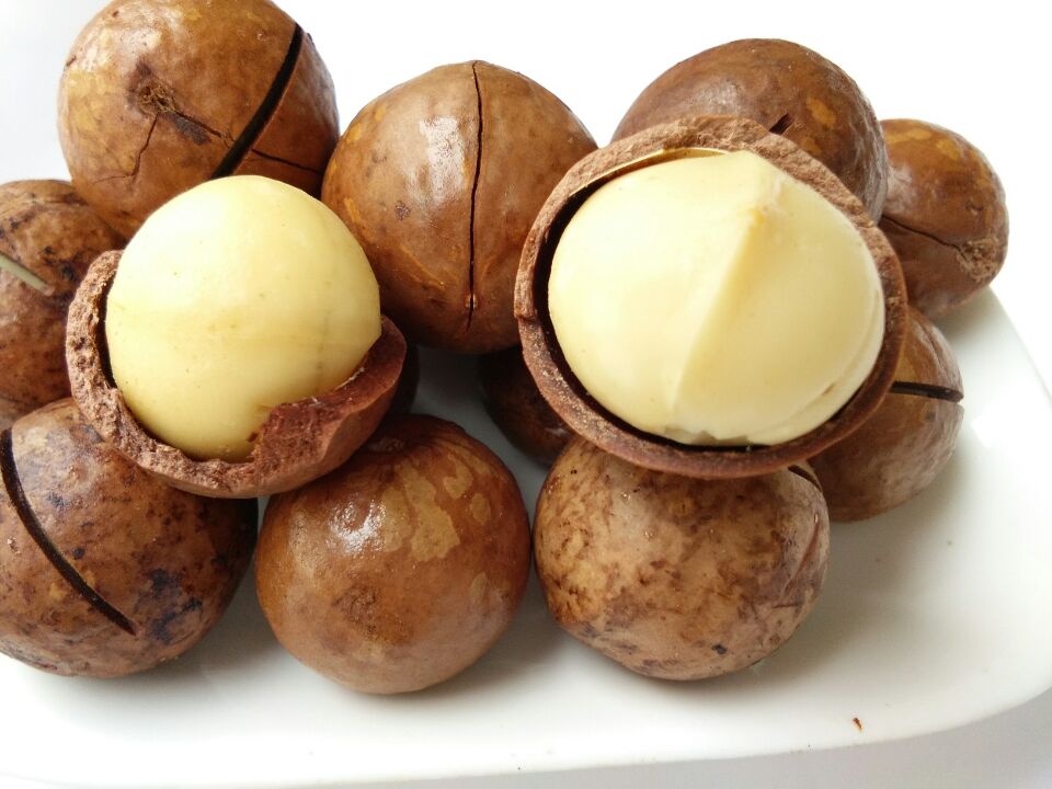 2018 new goods Hawaiian fruit Creamy snack Nuts Opening Hawaiian fruit 500 gramin the Snacks/Nuts/Specialty , Hickory/Nuts/Roasting , Hawaiian fruit category - from Buy2taobao.com to provide professional Taobao agent buy service
