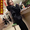 上下架计划:秋春冬装新款欧美风长袖连帽套头宽松卫衣加厚上衣女外套女太空棉