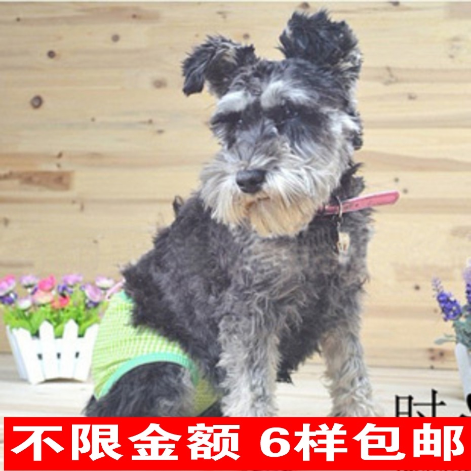 Petcircle寵物生理褲尿布褲狗狗月經生理褲 狗狗內褲 防騷擾褲在類目 寵物/寵物食品及用品, 寵物服飾及配件, 生理褲中 - 來自Buy2taobao.com提供專業的淘寶代購服務