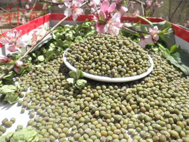 農家綠豆 沂蒙農家自産綠豆 毛綠豆 農家綠豆 雜糧綠豆在類目 糧油米麪/南北乾貨/調味品, 米/麪粉/雜糧, 豆類, 綠豆中 - 來自Buy2taobao.com提供專業的淘寶代購服務