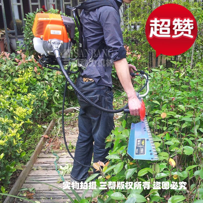 送五 华盛动力背负式绿篱机 茶叶修剪机 汽油机重修剪茶机 剪枝机在类目 鲜花速递/花卉仿真/绿植园艺, 园艺用品, 割草机/草坪机中 - 来自Buy2taobao.com提供专业的淘宝代购服务