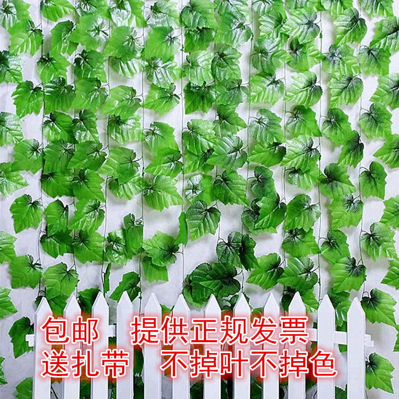 仿真葡萄葉藤條假樹葉藤蔓塑料假花花藤植物綠葉吊頂裝飾包郵在類目 鮮花速遞/花卉仿真/綠植園藝, 仿真花/綠植/蔬果成品(新), 仿真綠植中 - 來自Buy2taobao.com提供專業的淘寶代購服務