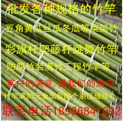 竹竿各種規格竹竿子 菜園搭架欄杆 籬笆竹圍欄竹子柵欄旗竹杆在類目 鮮花速遞/花卉仿真/綠植園藝, 園藝用品, 大型籬笆/柵欄中 - 來自Buy2taobao.com提供專業的淘寶代購服務