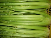 新鲜西芹美国芹菜，新鲜绿色蔬菜零农药6块一斤