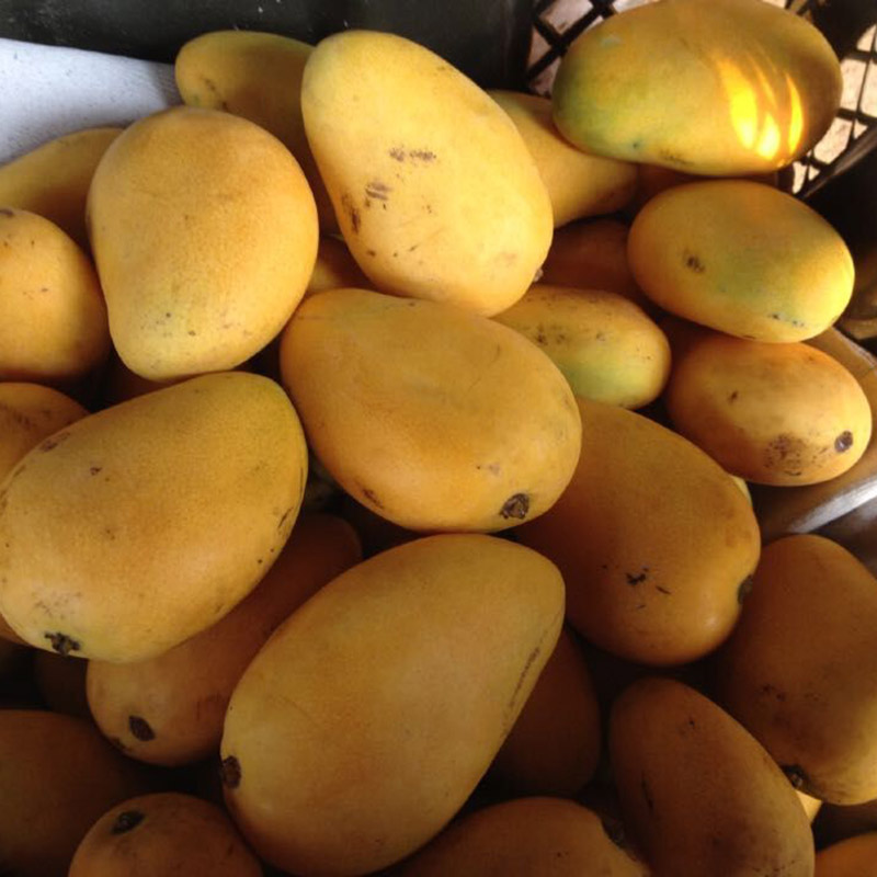 海南台农芒果 新鲜特价腰芒小台芒水果肉厚核