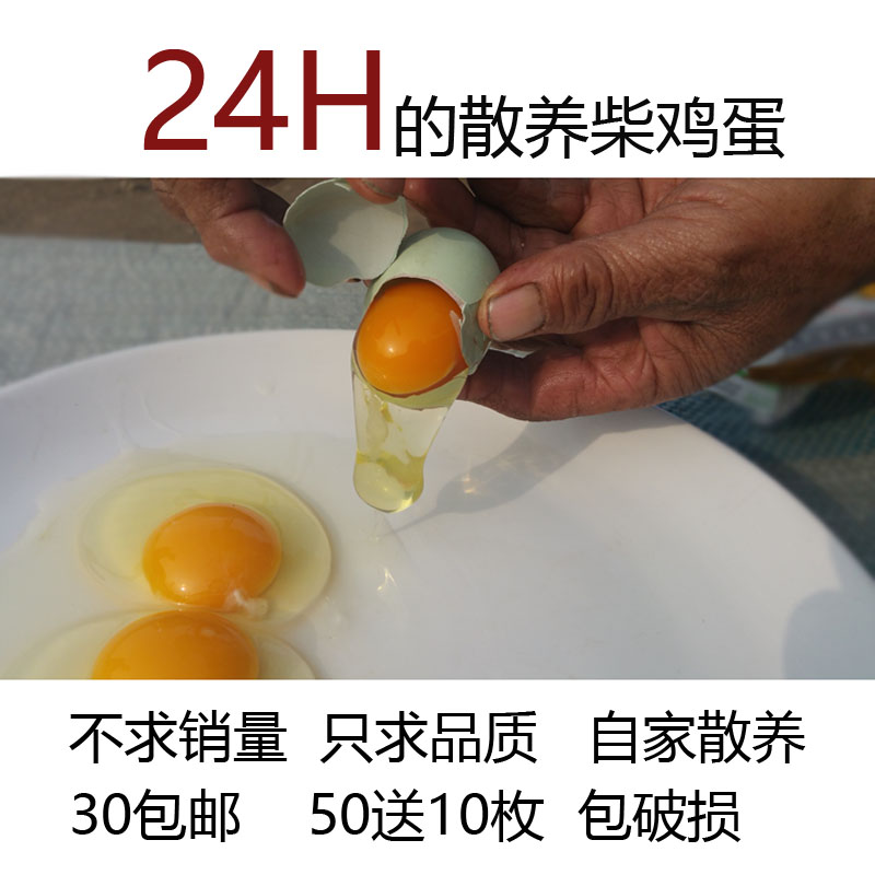 正宗放养柴鸡蛋--源自密云山区的土鸡蛋笨鸡蛋草鸡蛋 2.5元/个|msdalam kategori daging perikanan/Buah-buahan segar dan sayur-sayuran/dimasak, telur/telur Produk, telur segar, telur - dari Buy2taobao.com untuk memberikan perkhidmatan ejen Taobao profesional membeli