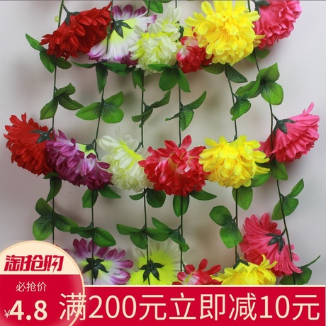 假菊花