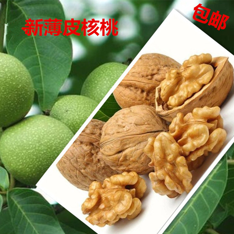 新产薄皮核桃山东枣庄特产山核桃薄皮核桃包邮非新疆云南纸皮核桃|ruв категории закуски/орехи/специальность, ореховый/орехи/жареные семечки, бумага/грецкий орех - от Buy2taobao.com для оказания профессиональной услуги покупки агента Taobao
