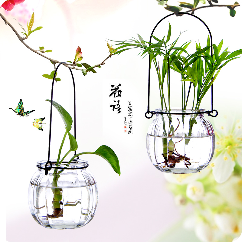 悬挂式透明玻璃花瓶 小南瓜吊瓶 简约水培花器室内园艺家居装饰|ruв категории Домашний быт, ваза/цветок/искусственные цветы/моделирование украшения, цветок/ваза, ваза - от Buy2taobao.com для оказания профессиональной услуги покупки агента Taobao
