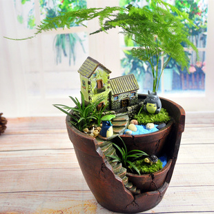 创意苔藓微景观盆栽室内diy植物办公室桌面生日礼物绿植好养活