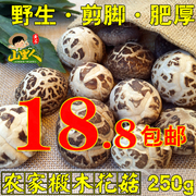 大花菇新货 农家椴木香菇 干货蘑菇花菇2504-5厘米大小