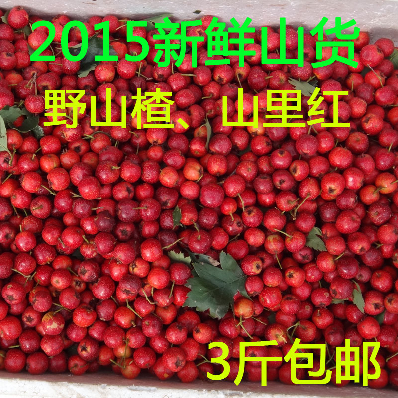 东北特产 山里红 野生山楂  纯野生绿色食品   现摘现卖  3斤包邮