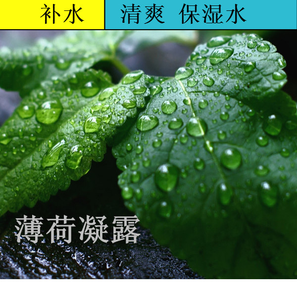 薄荷凝露 油性皮肤补水女保湿男士护肤品爽肤水收缩毛孔细致水在类目 美容护肤/美体/精油, 化妆水/爽肤水中 - 来自Buy2taobao.com提供专业的淘宝代购服务