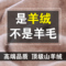 上下架计划:冬季男士V领羊绒衫 男款纯山羊绒衫套头针织衫圆领羊毛衫男装毛衣