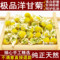 上下架计划:任意6件包邮 花草茶 特级洋甘菊花茶正品德国 进口洋甘菊安神50g