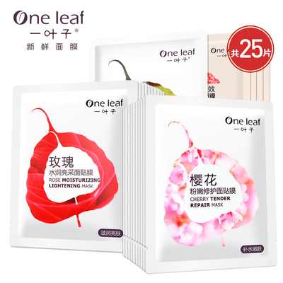 一叶子新鲜面膜 春夏补水保湿面膜贴晒后修护收缩毛孔男女化妆品