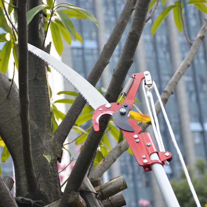 gardening High altitude Fruit tree branch Picking scissors Garden Tools Pruning Scissors Telescoping Lopper Pole Sawin the Flower delivery/Flowers simulation/Plants gardening , Gardening supplies , Shovel/Harrow/Shovel/Hoe (New) , Rake category - from Buy2taobao.com to provide professional Taobao agent buy service