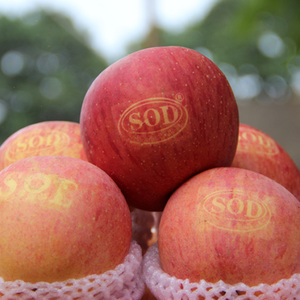 有机带皮吃灵宝高山寺河山水晶富士苹果 红富