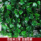 上下架计划:仿真双层米兰草坪批发4060塑料草坪加密装饰草坪商场餐厅阳台绿化