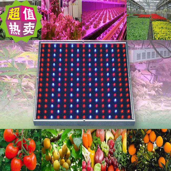 清仓14W LED植物生长灯 光合花草蔬菜园艺育苗灯 红蓝植物补光灯在类目 家装主材, 光源, LED光源, LED单灯中 - 来自Buy2taobao.com提供专业的淘宝代购服务