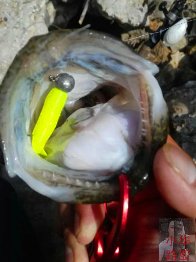 50只装/小华路亚铅头钩1g-20g鳜鲈翘钩小林(小灵)路亚|msdalam kategori luar/Mountaineer/Camping/Aksesori perjalanan, peralatan memancing, cangkuk - dari Buy2taobao.com untuk memberikan perkhidmatan ejen Taobao profesional membeli