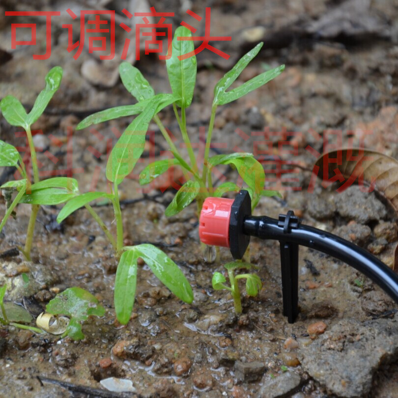 Adjustable Dripper/Drip emitters/Spray irrigation/Micro-sprinklers/Coordination 4/7 Capillary match PE Perforated pipe usein the Flower delivery/Flowers simulation/Plants gardening , Gardening supplies , Weipen/Drip/Fittings , Atomization Weipen/Drip irrigation equipment category - from Buy2taobao.com to provide professional Taobao agent buy service