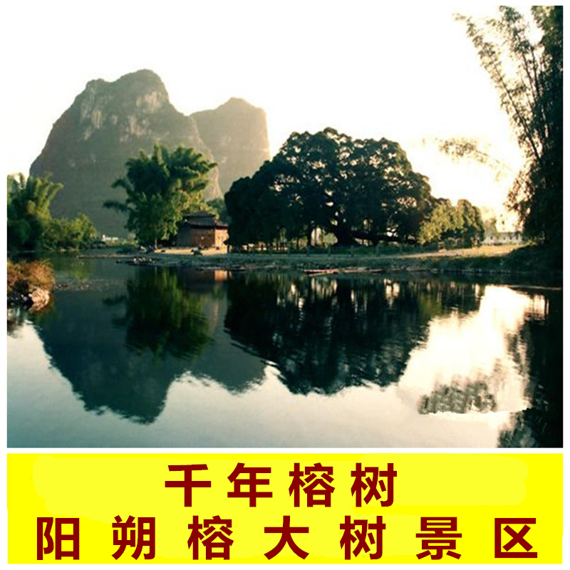 * 广西 桂林 大榕树 大门票|ruв категории входные билеты/реальную шоу/тематический парк, внутренняя избирательная служба - от Buy2taobao.com для оказания профессиональной услуги покупки агента Taobao