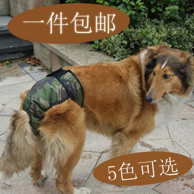 朵先生.大型犬金毛生理裤月经裤包邮安全裤发情防骚扰卫生裤在类目 宠物/宠物食品及用品, 宠物服饰及配件, 生理裤中 - 来自Buy2taobao.com提供专业的淘宝代购服务