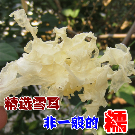 古田椴木雪耳花银耳白木耳易糯无熏硫农家自产非丑耳200克包邮|msdalam kategori beras/Utara-Selatan barangan kering/perasa, Utara-Selatan barangan kering/daging Kering, kering/Native, kulat putih/Jelly - dari Buy2taobao.com untuk memberikan perkhidmatan ejen Taobao profesional membeli