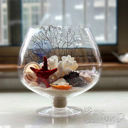 欧式酒杯创意时尚透明圆形玻璃鱼缸水培，插花高脚花瓶小花器摆件